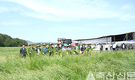 이모작 조사료 사업…축산-경종 ‘상생 동행’