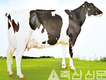 제7회 이천시홀스타인EXPO’ D-8로 임박
