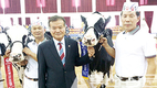 제9회 서울우유 홀스타인경진대회 현장 이모저모