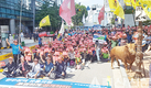 한우협 “농협적폐청산을”…릴레이 집회 시작