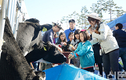 ‘친근한 축산’ 체험…축산물 효과적 홍보