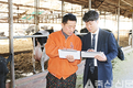 CJ제일제당, ICT 활용해 젖소 건강 관리한다