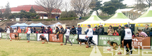 참프레, 반려동물 대축제 참여