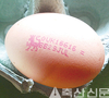 <기고>계란 유통기한에 대해<상>