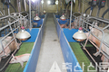 <축산, 국민 속으로 / 냄새저감 우수사례 현장>경기 이천 `송암농장’