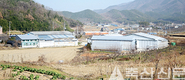 <강소농 명인을 찾아 / 울산 울주 태화한우농장>“특별함이 경쟁력”…오랜 노력 끝 자가사료 개발로 차별화