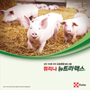 <스마트한 축산 시대 솔루션 찾아라>퓨리나, 고효율·고온기 양돈사료 프로그램 큰 반향