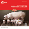<스마트한 축산 시대 솔루션 찾아라>퓨리나, 고효율·고온기 양돈사료 프로그램 큰 반향