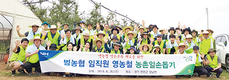 <나눔축산운동 실천 현장>농협중앙회, 민통선 넘어 영농철 농촌 일손돕기