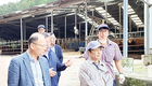 태풍 미탁 피해복구 지원…ASF 확산방지 노력도