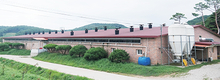 <창간 34주년 특집-선진축산을 Take out 하라 / 충남 안면도 번식 전문양돈장 ‘EM파크’>쉬어가고 싶은 공원같은 곳…일하고 싶은 농장 실현