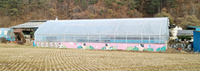 <2020 신년특집>경기 양평 `신향소 목장’ / 냄새없고 유용한 축분뇨 관리…미생물로 쉽고 편리하게