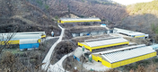 <2020 신년 특집>일선축협 특색사업 / 충남 금산축협-생축장 사업