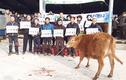 <나눔축산>“한우송아지에 희망 씨앗 가득 담아”