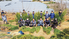 농협종돈, 깨끗한 농장 조성…측백나무 100주 식재