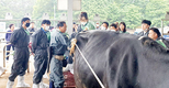 보은옥천영동축협, 한우 인공수정 이론·실습 교육