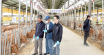 용인축협, 조합 사육장 우량 암송아지 21두 분양