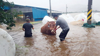 폭우에 잠긴 축사…가축 긴급 구조작전