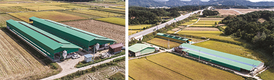 대한민국 한우리더 K-Farm ‘억대농장<전북 임실>’에 가보니…