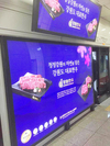 강원한우, 온라인 축제로 우수성 알린다