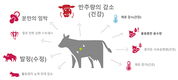 리얼팜, 바이오센서 기술 결합 사양관리 최적화