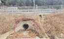 아프리카돼지열병(ASF) 방역망 여기저기 ‘구멍’