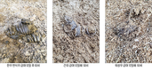 하농, 빠르고 친환경적…퇴비부숙 촉진 새 대안