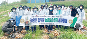 <나눔축산>양파밭서 일손돕기 봉사활동 구슬땀