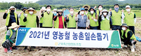 <나눔축산>마늘·양파 재배현장서 일손 나눔