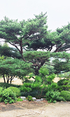 경쟁력 있는 현장 / 충남 아산 ‘원영목장’