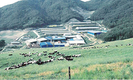 <창간 36주년 특집-건강한 K축산 / 일선축협 특색사업 현장>전북 지리산낙협 / 육성우 위탁사업