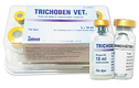 <줌인>원무역상사 ‘트리코벤<Trichoben>’
