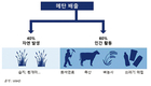 지구온난화와 한국축산<中>