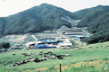 <일선축협 특색사업>전북지리산낙협 / 육성우 위탁사업