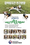 은퇴한 농축산물 검역탐지견 민간 분양