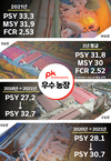 MSY 30두 양돈장 속속 출현