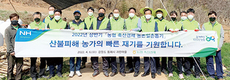 <나눔축산>산불피해 축산농가 재기, 일손 보태