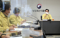 강원 홍천서 아프리카돼지열병 발생