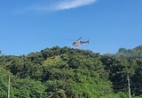 충남도, 밤나무 군락지 항공방제 실시