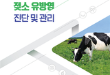 검역본부, ‘젖소 유방염 진단 및 관리’ 안내서 발간