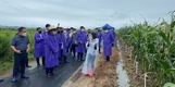 간척지서 사료용 옥수수 재배…자급률 높인다