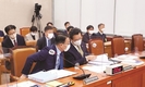 답변 준비하는 농식품부 장·차관