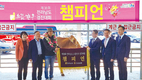 전남 으뜸한우 경진대회 성황리 개최