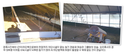 현장서 바라본 오리산업 AI 방역정책, 문제와 해법은