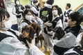 녹십자수의약품, 유기동물 봉사·동물약품 후원