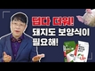 여름철 돼지들의 영양관리는 어떻게?
