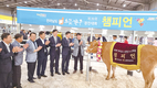 전남도 으뜸한우 챔피언에 강진 박경훈 농가