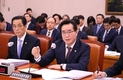 “소 럼피스킨병 백신 접종, 확산 차단…3주가 고비”