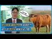 암소 비육 출하전략의 중점은 ?