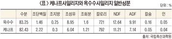 <2024 신년특집> 일반 수목보다 5배 이상 CO2 흡수…척박한 토양서도 잘 자라